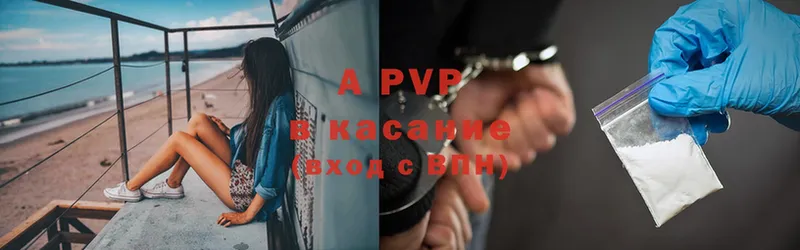 A PVP СК  Шадринск 