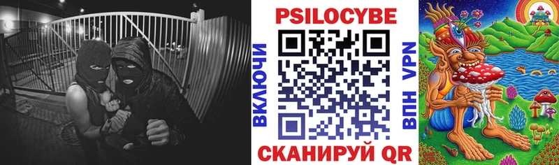 ссылка на мегу   купить наркотики цена  Шадринск  Галлюциногенные грибы MAGIC MUSHROOMS 