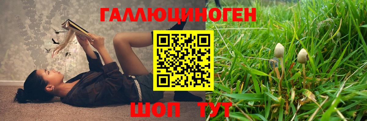 Галлюциногенные грибы ЛСД Шадринск